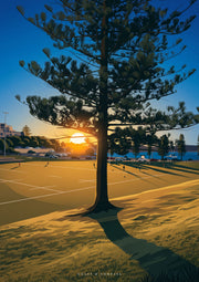 Sunset Shadows — illustrated Norfolk pine silhouetted against the setting sun at Terrigal Haven, its long shadow falling across the grass above a rugby field
