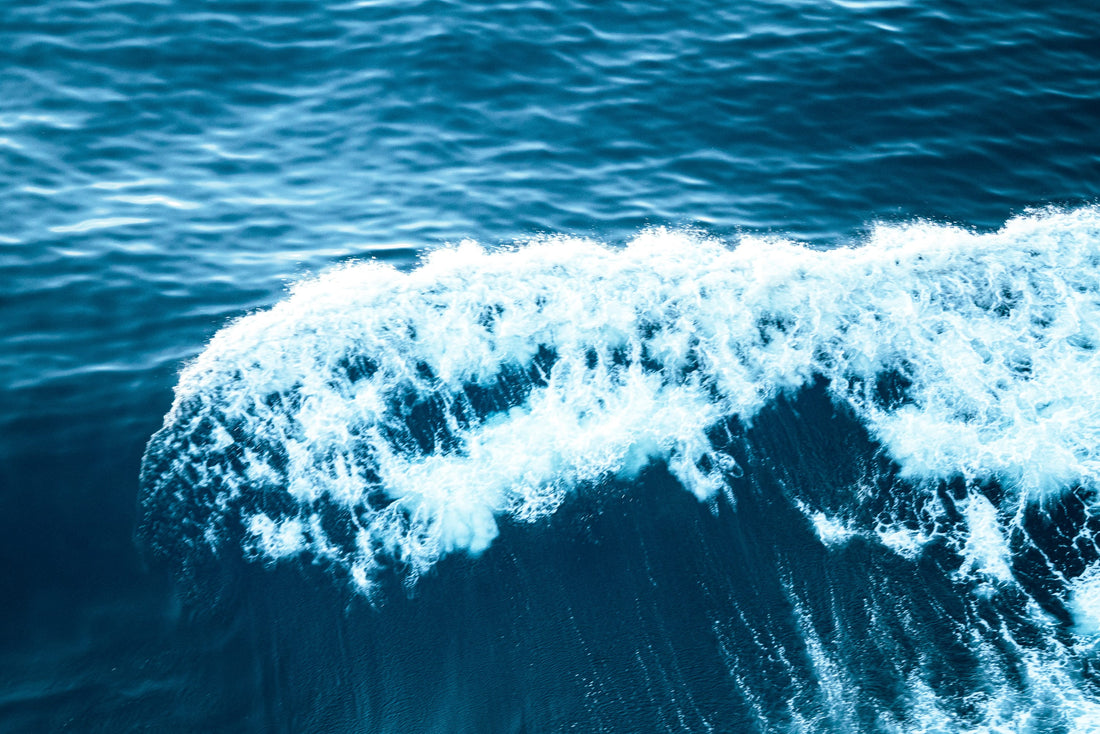 Close-up of a wave crashing in the ocean. From Coast & Compass.  Original Art work by Andrew Batey