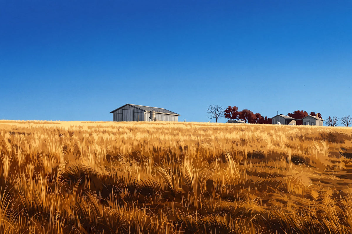 A rustic Australian weathered metal barn stands in a golden grassy Dunedoo field at sunset, with bare trees on the left and a blue sky fading to warm orange near the horizon.