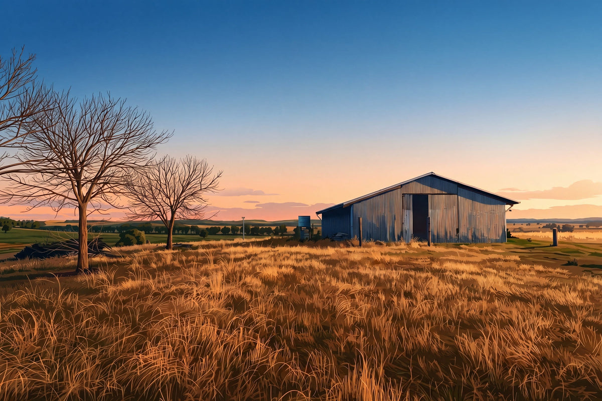 A rustic Australian weathered metal barn stands in a golden grassy Dunedoo field at sunset, with bare trees on the left and a blue sky fading to warm orange near the horizon.