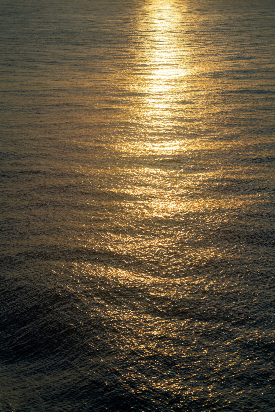 Coast & Compass
